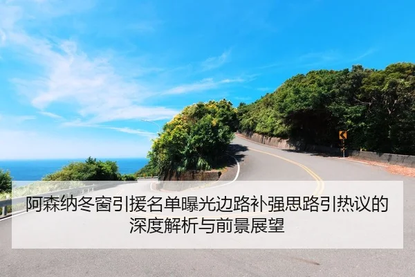 阿森纳冬窗引援名单曝光边路补强思路引热议的深度解析与前景展望